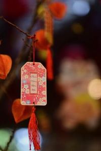 xì dách trực tuyến Kubet